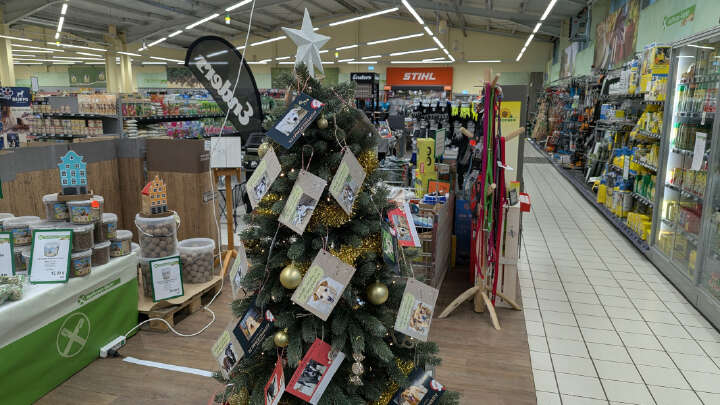 PXL 20251120 134116683.MP